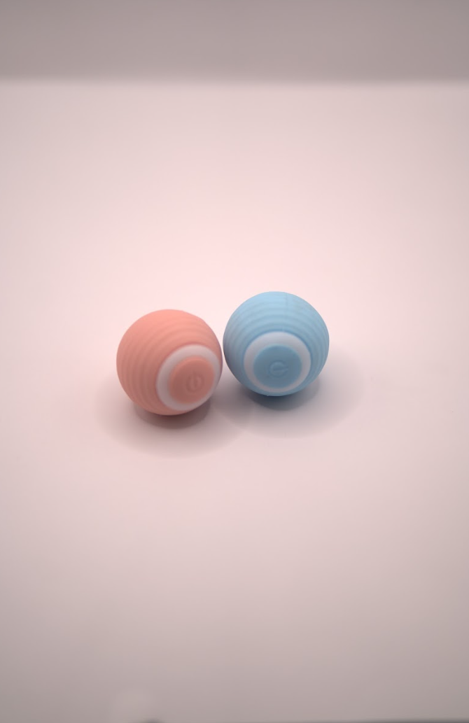 Pioneering Sustainability in Pet Products with Whimsy