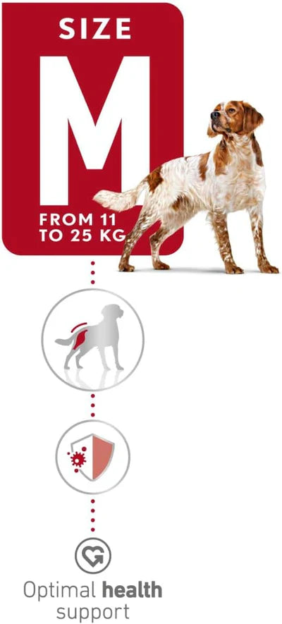 Royal Canin - Medium Adult Dry