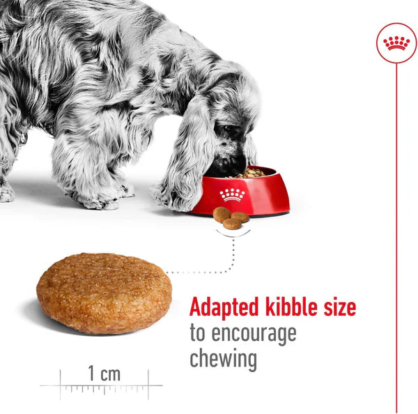 Royal Canin - Medium Adult Dry