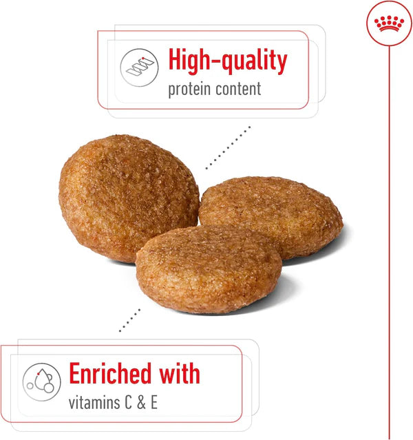 Royal Canin - Medium Adult Dry