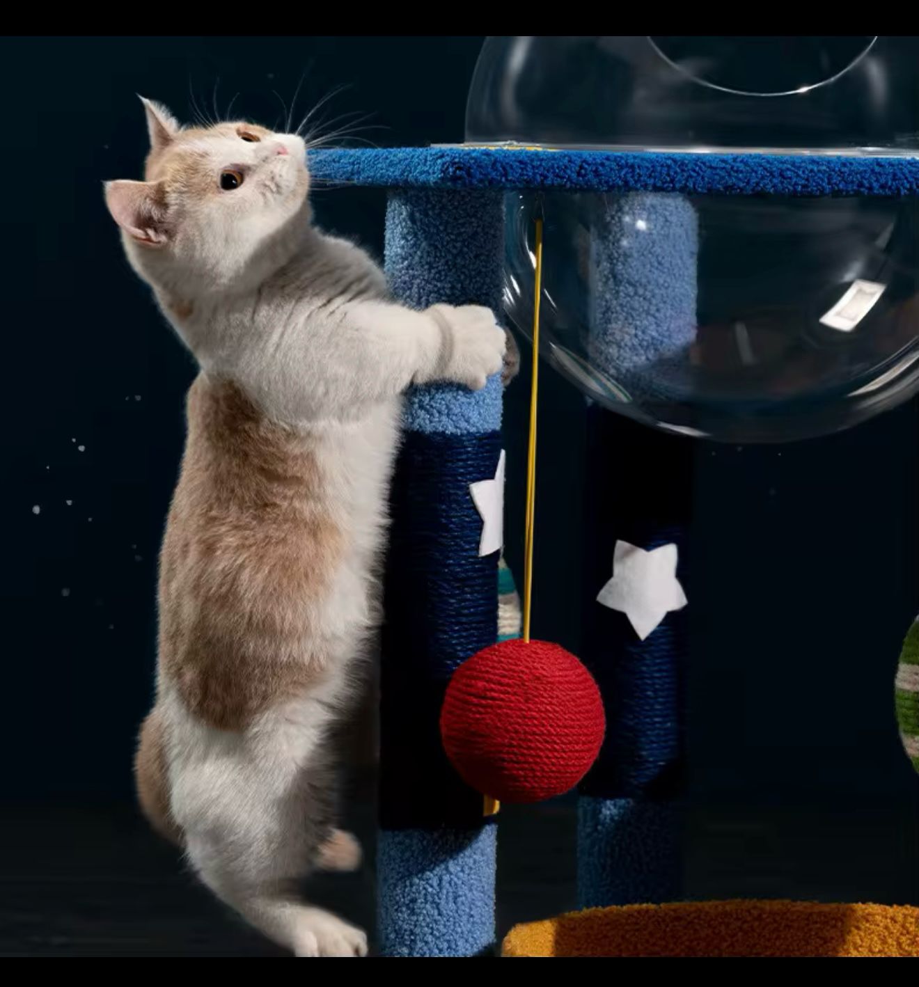 Space Explorer Cat Tree™