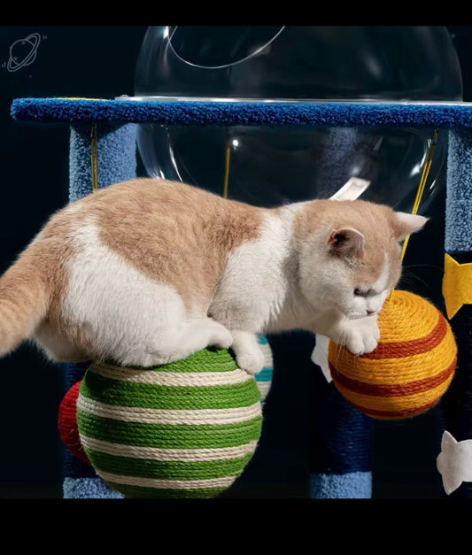 Space Explorer Cat Tree™