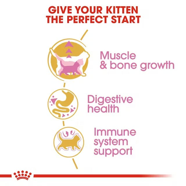 Royal Canin - British Shorthair Kitten