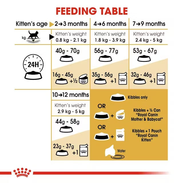 Royal Canin - British Shorthair Kitten