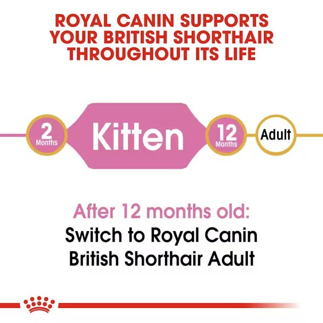 Royal Canin - British Shorthair Kitten
