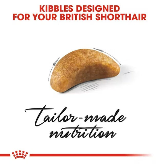 Royal Canin - British Shorthair Kitten