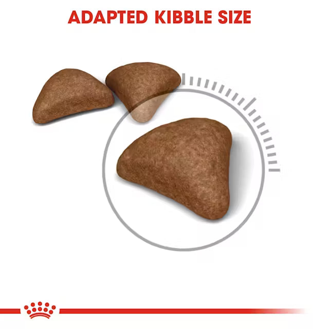 Royal Canin - Hairball Care Dry