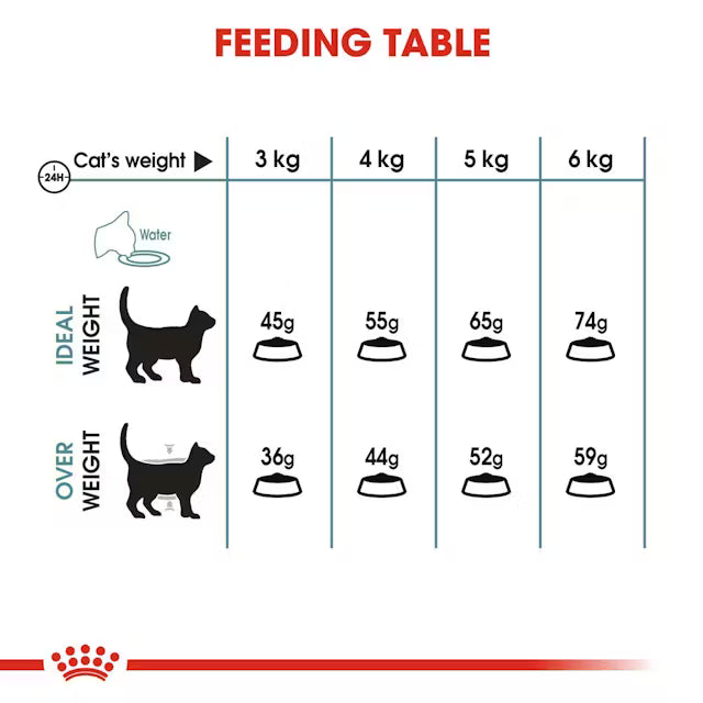 Royal Canin - Hairball Care Dry