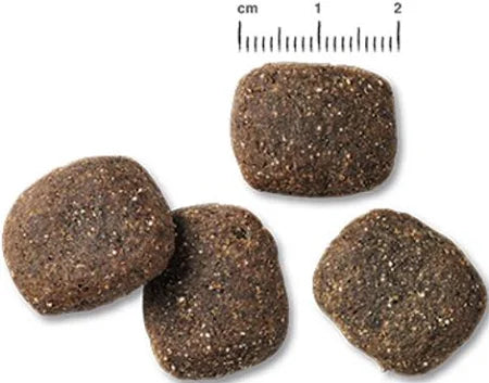 Belcando Adult Active