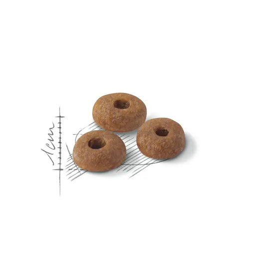 Royal Canin - Fit 32 Dry