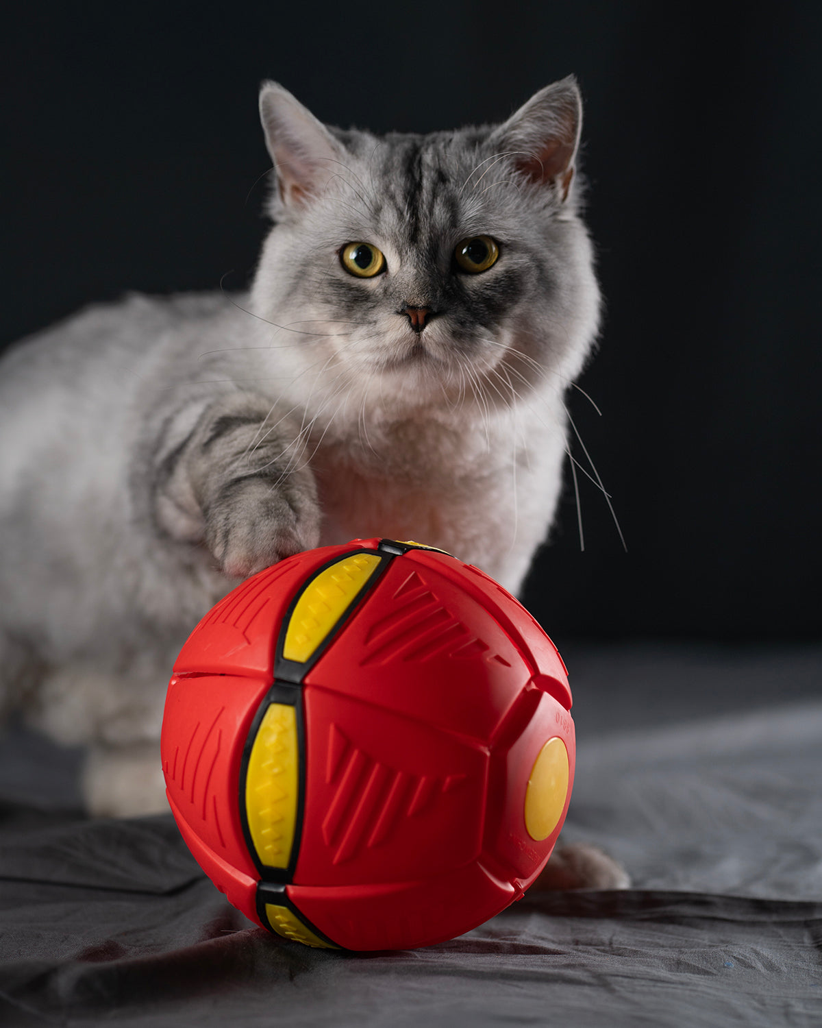UFO Flying Ball for Dogs