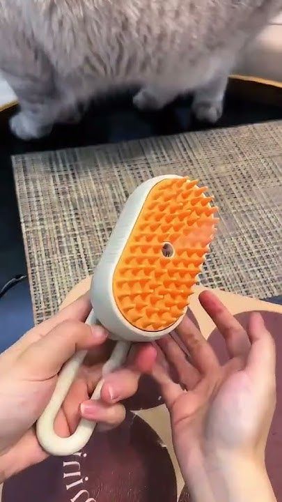 Cat Steam Brush