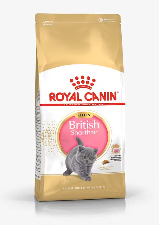 Royal Canin - British Shorthair Kitten