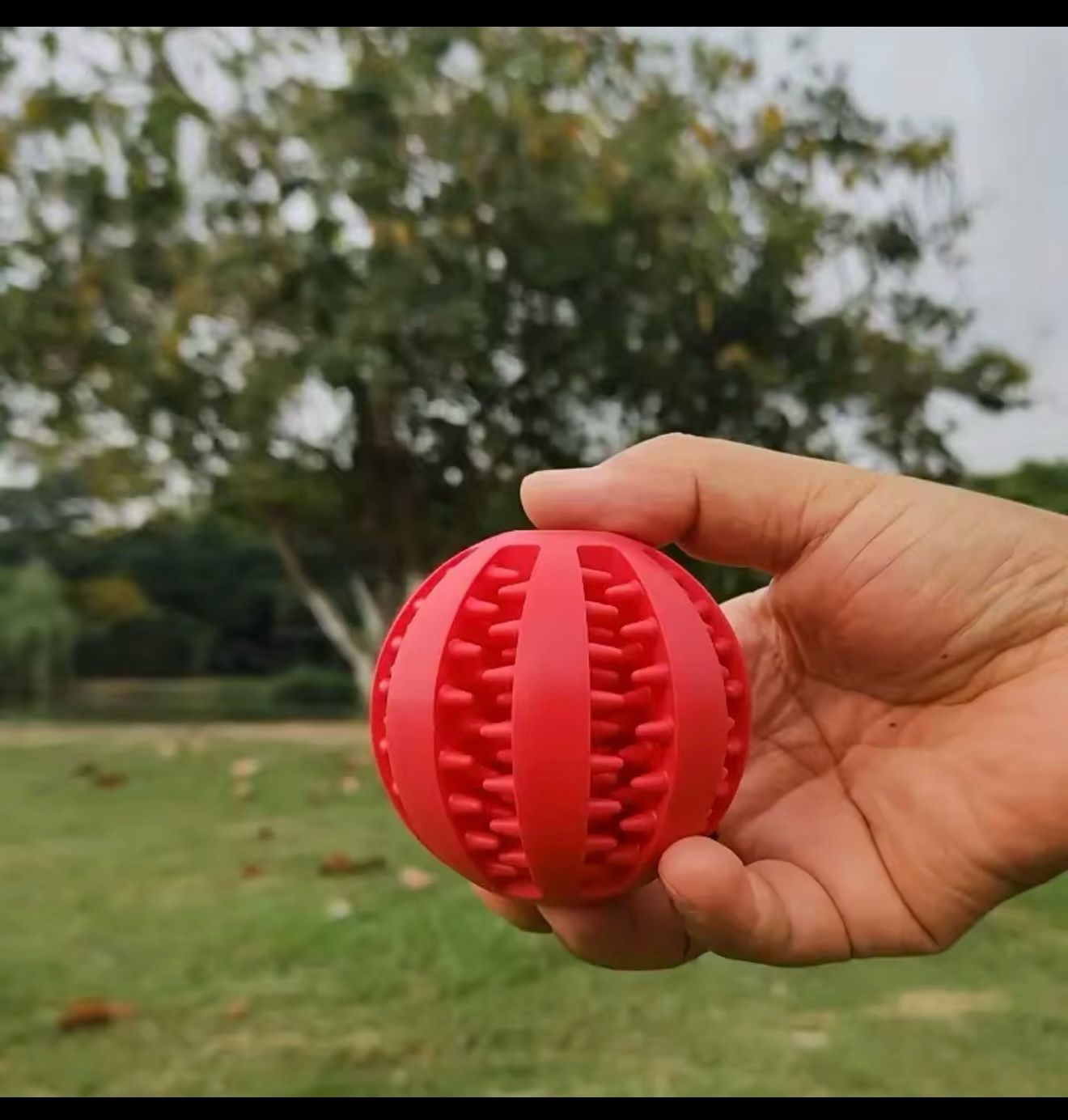 Chew balls