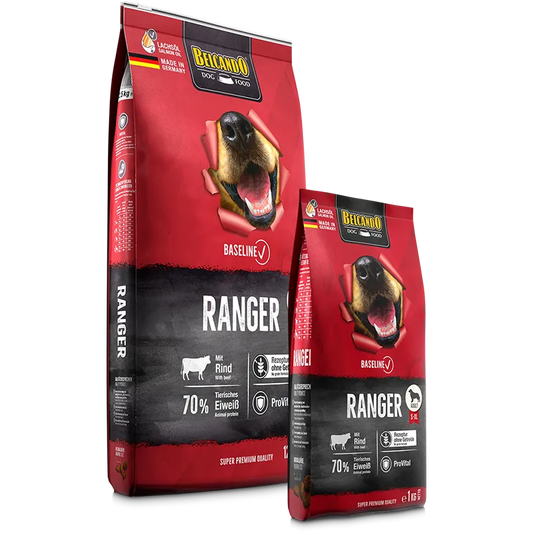 Belcando Ranger (Baseline)