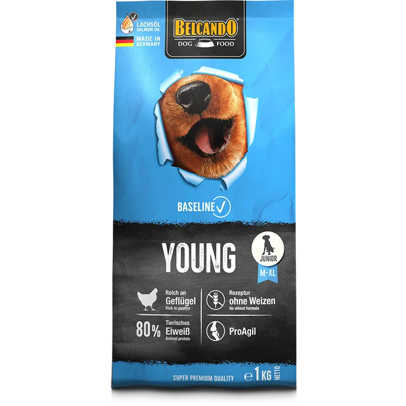Belcando Young (Baseline)