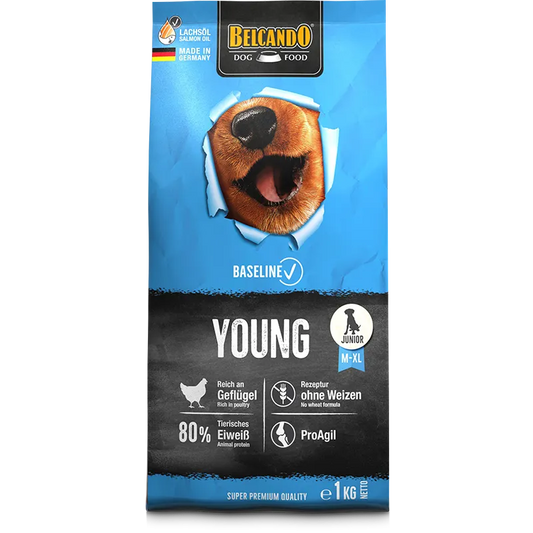 Belcando Young (Baseline)