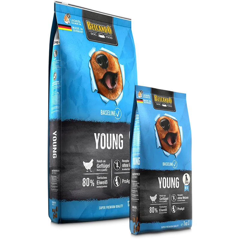 Belcando Young (Baseline)