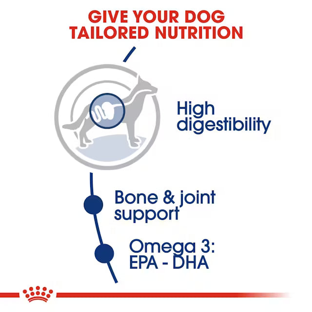 Royal Canin - Maxi Adult Dry