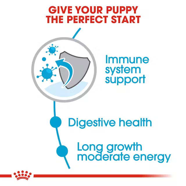 Royal Canon - Maxi Puppy Dry